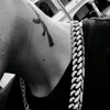 lil_draco_700
