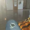 moha.moha830