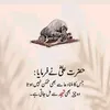 dark__videos_h