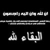 monamahmoud7595