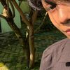 wijangkrik