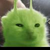 m_tvicx