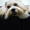 ronei.ferreira72