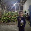 kuding91