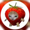 manon_7777