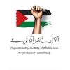 anas.reda88