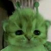 cyrillnanaww