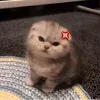 not_out7