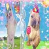 user.zhenya11