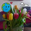 jeanette.dorn