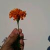 niha.niha971