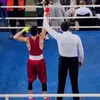 .boxer95