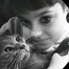 talha_kpln33
