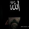 user8462087921232