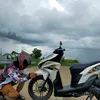belafa30