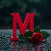 sudu.m39