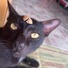 tom.062822