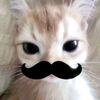 syenasya_