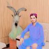 arshidbugti01