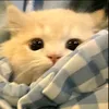 nho_anh_lam12