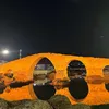 zakho919