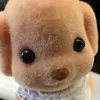 いぬいくん
