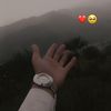 sp_saboor_311