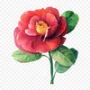 thusang_63