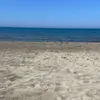 elena_esposito_3