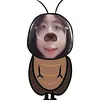 nq_bao_nqoc