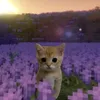 i_letsgosky_104