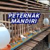 PETERNAK MANDIRI