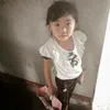 vn.chanh.cao