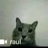 myneck_hurts1