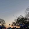 kenia_0239s