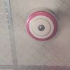 raisa.begum74