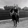 boykamustang