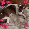 karen.carlson88