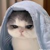 norsyahidahnor