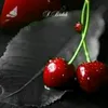 omar729811081085