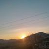 camiticamis_691