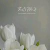 sidraahmad391