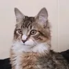 michifacherito753