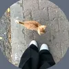 3lejj