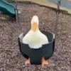 thepaperagesu