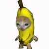 bananacat_22