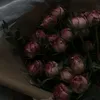 betmen_5373828