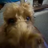 marley_12892