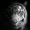 user23510328167548