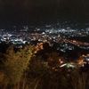 fresita3663